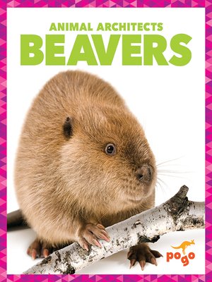 cover image of Beavers